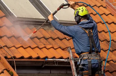 Démoussage et hydrofuge de toiture à Mauron